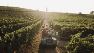 Monferrato, autunno alla scoperta del tartufo e del vino tra eventi ed esperienze