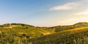 Palazzo di Varignana, con Settembre in Vigna esperienze tra degustazioni, visite guidate e bio walking