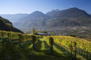 Romantik Hotels, camera con vigna tra masi, relais e antiche tradizioni