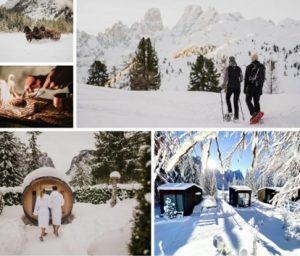 Skyview Chalets, proposte relax nei 12 glass-cube ecofriendly immersi nel bosco