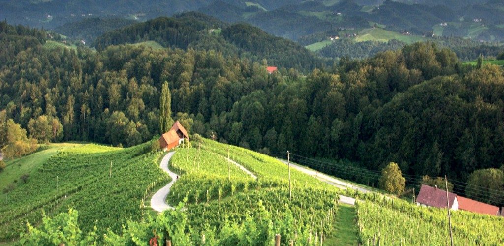 Destinazione Slovenia, in vista di Nova Gorica e Gorizia Capitale Europea della Cultura 2025