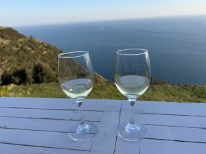 Strada del Vino delle Cinque Terre e colline di Levanto, obiettivo intercettare i turisti che amano vivere il territorio