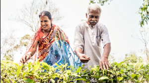 Delta: la nuova scelta di bevande e snack a bordo dà spazio alle piccole imprese