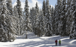 Austria: “Serviranno risarcimenti se l’Ue dovesse imporre un divieto allo sci”