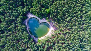 Voihotels: partnership con Treedom per la piantumazione di 1.500 nuovi alberi in tre anni