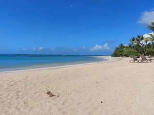 Michès e la Playa Esmeralda: evoluzione dell’offerta nella Repubblica Dominicana