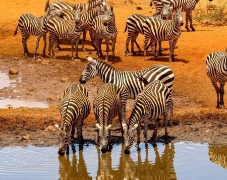 L’estate di Glamour alla scoperta di Kenya, Zanzibar e Namibia