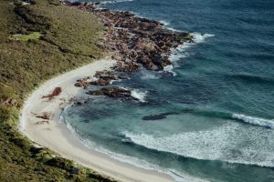 Western Australia: Margaret River è la prima ECO Destination dello stato