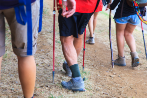 Memorandum di collaborazione fra la Via Francigena e il Cammino di Santiago