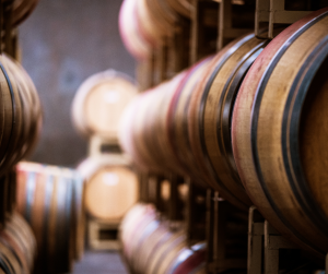 Turismo enogastronomico nelle Marche: torna la seconda edizione di ‘Il calice racconta’