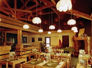 Ibis celebra il suo primo mezzo secolo di vita. E continua a crescere