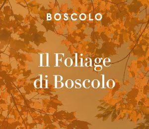 Boscolo: per l’autunno si punta sugli itinerari del foliage