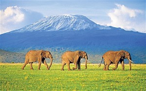 Kenya: balzo in avanti di entrate turistiche e arrivi nel 2022, anche se non ai livelli 2019