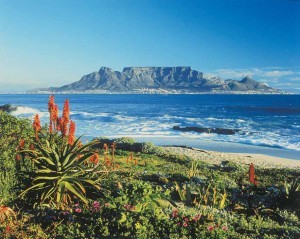 Unione europea pronta alla revoca delle restrizioni di viaggio verso l’Africa australe