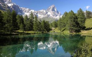 Green Vallée d’Aoste sigla una partnership con TrustForce per la commercializzazione