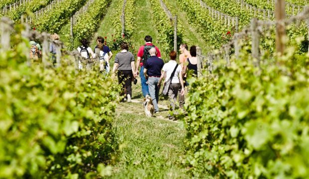 Enit, l’enogastronomia in Italia è cresciuta del 70% in 4 anni